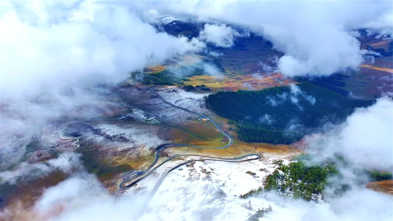 疆山如画丨雪覆草原 阿禾公路已开启仙境模式
