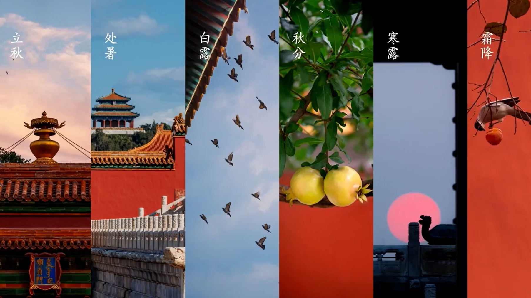 故宫博物院 百年正风华