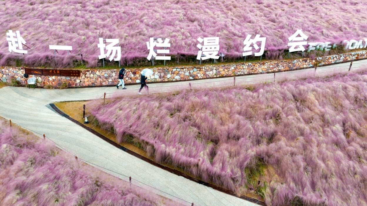 赏秋正当时