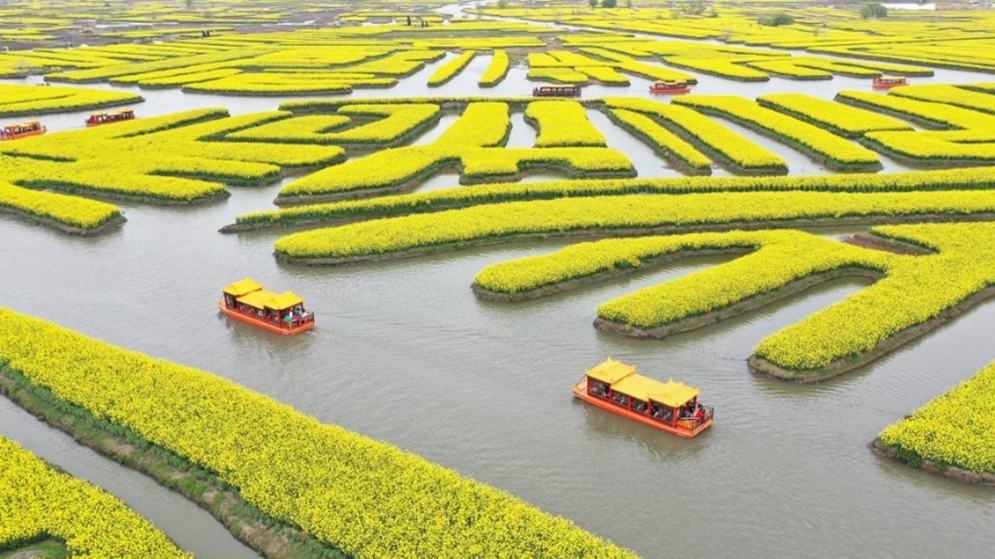 解锁世界“最佳旅游乡村”东罗村的四季文旅密码