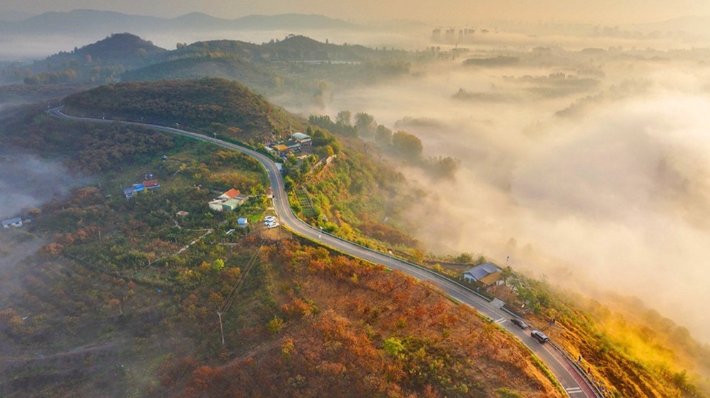 立冬将至 秋韵未央