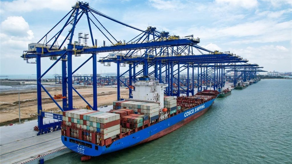 海岛新程｜政策红利释放 助力企业降本增效