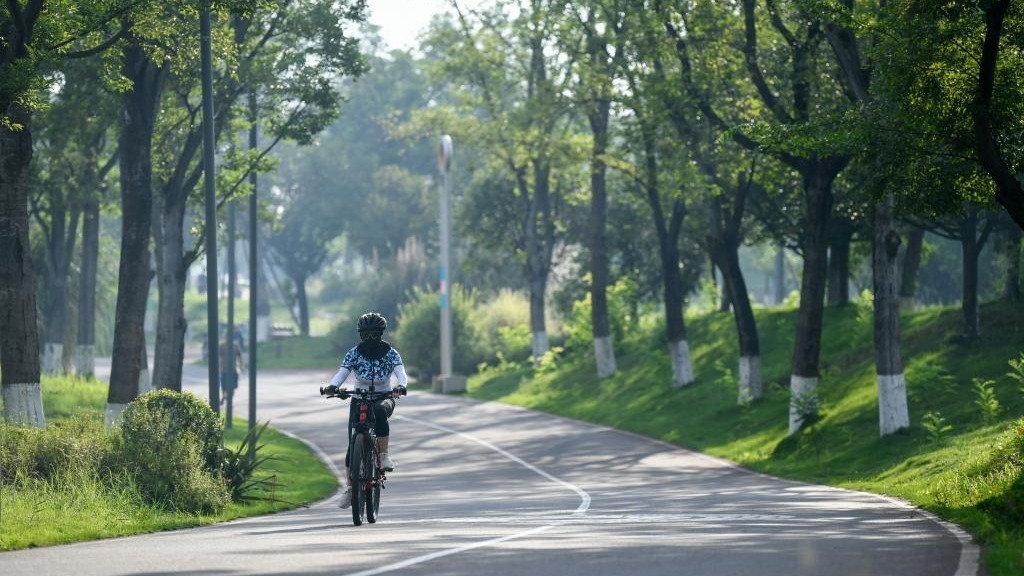 新华鲜报·“十四五”发展亮点丨中国“调色盘”增新绿！森林覆盖率超25%