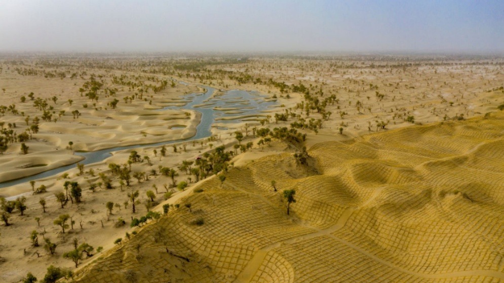 中外交流丨镜头下的沙海新绿——从图片展上的照片看新疆带给世界的治沙灵感