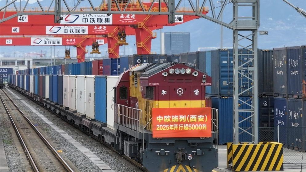 权威解读丨从11月份数据看中国经济增长点