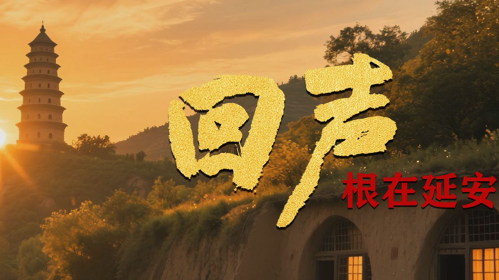 《回声》第九集：《根在延安》