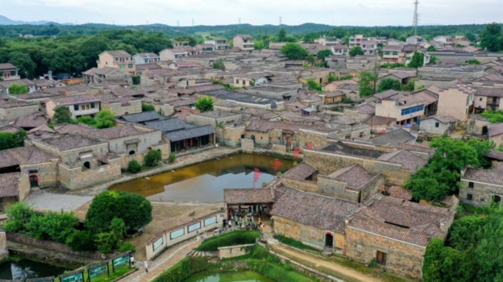 这一年，乡村振兴的魅力风景