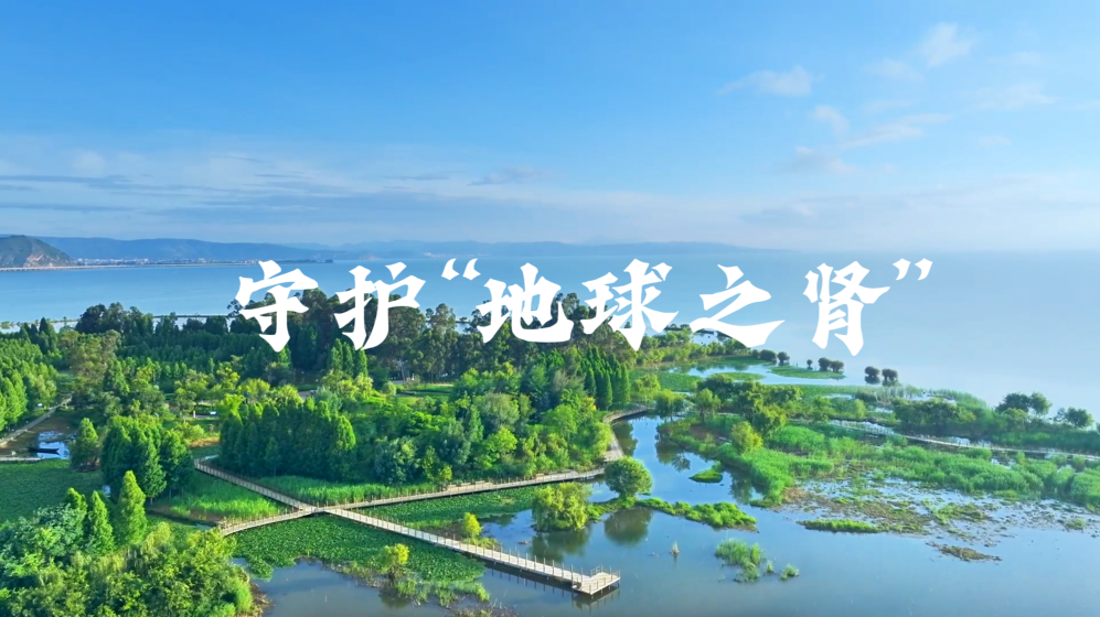 微视频丨守护“地球之肾”