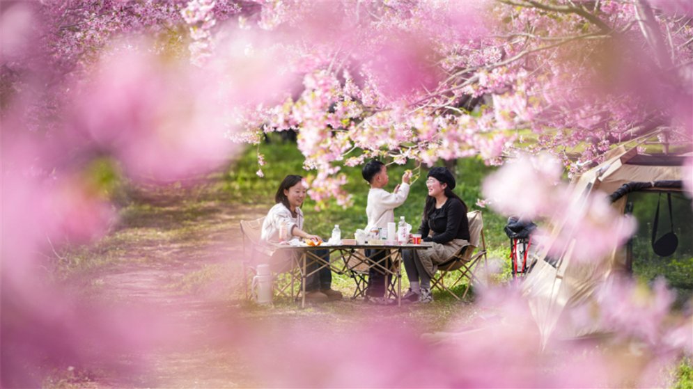 踏青赏花春意浓