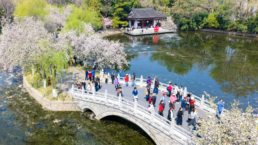 春色如许 莫负花期