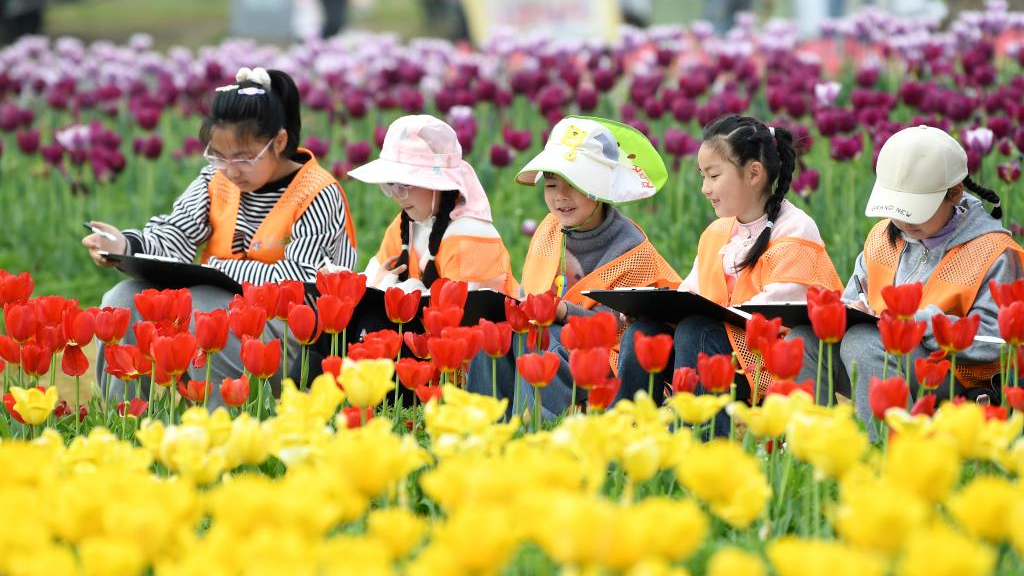 春假研学收获多