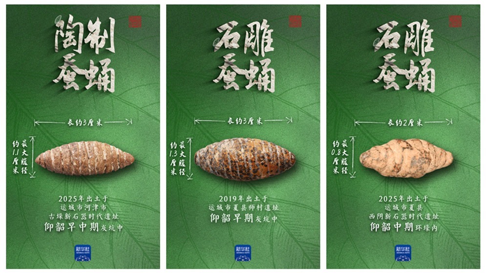 国宝画重点｜多地出土，它们是5000多年前的蚕蛹艺术品吗？