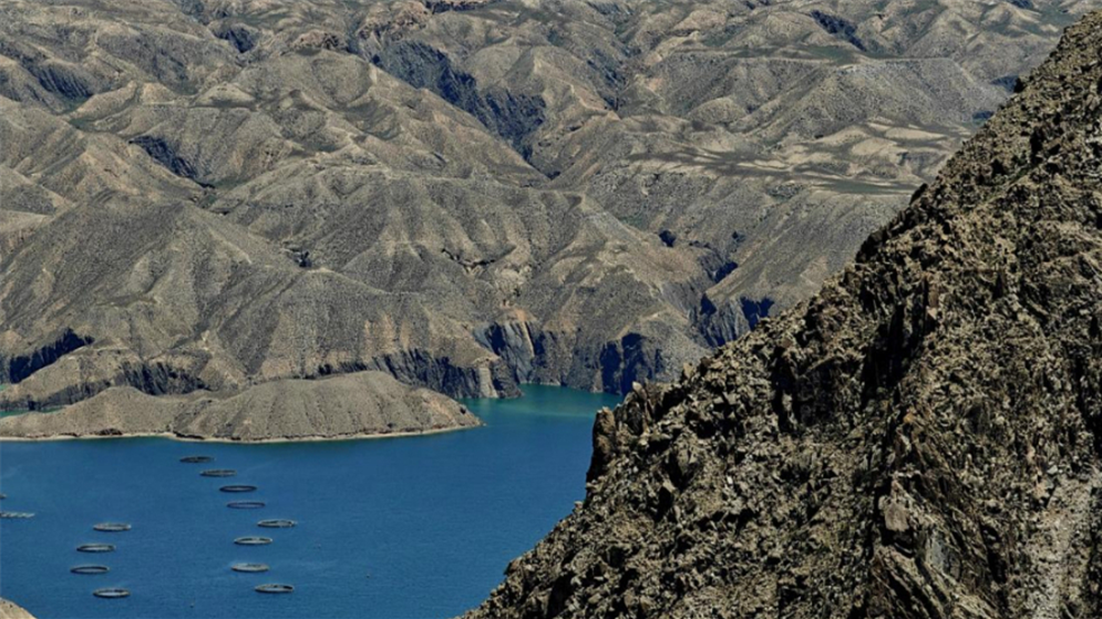 清清黄河丨春到龙羊峡