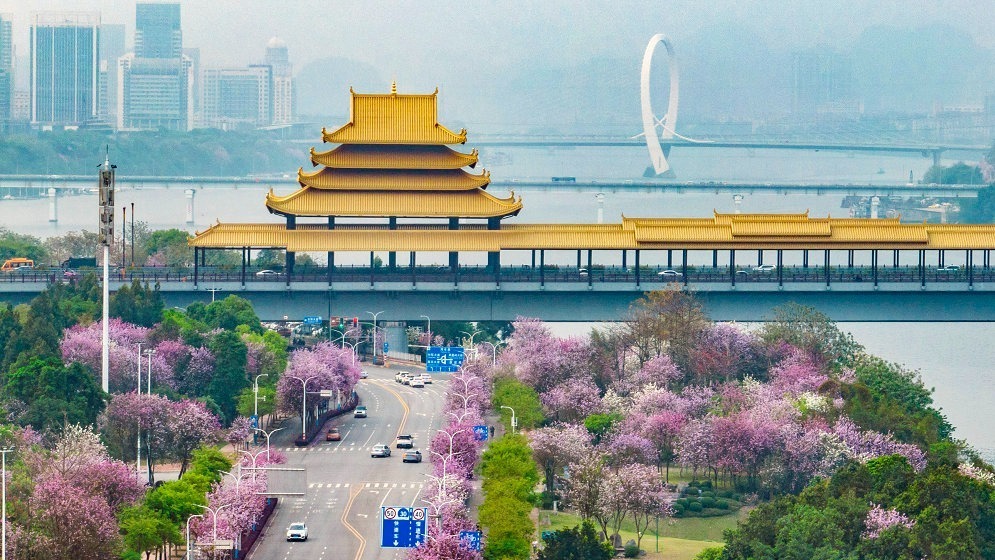 解码文化自信的城市样本｜柳州：龙城古韵展新篇