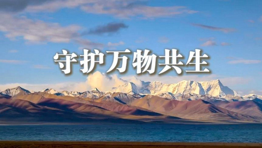 微视频｜守护万物共生