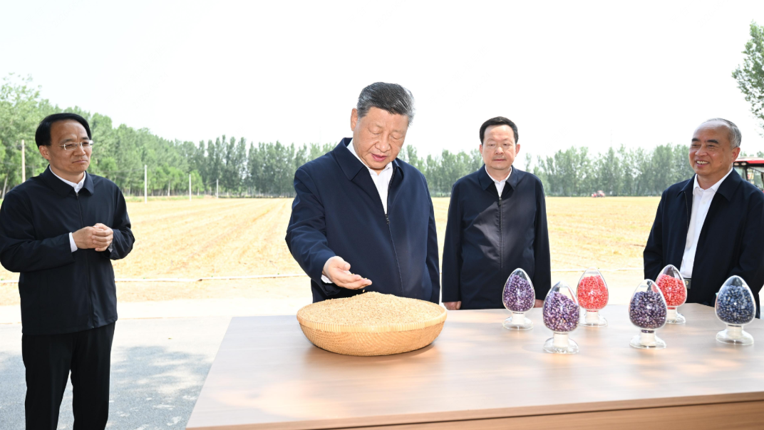 图集｜习近平在山东德州考察