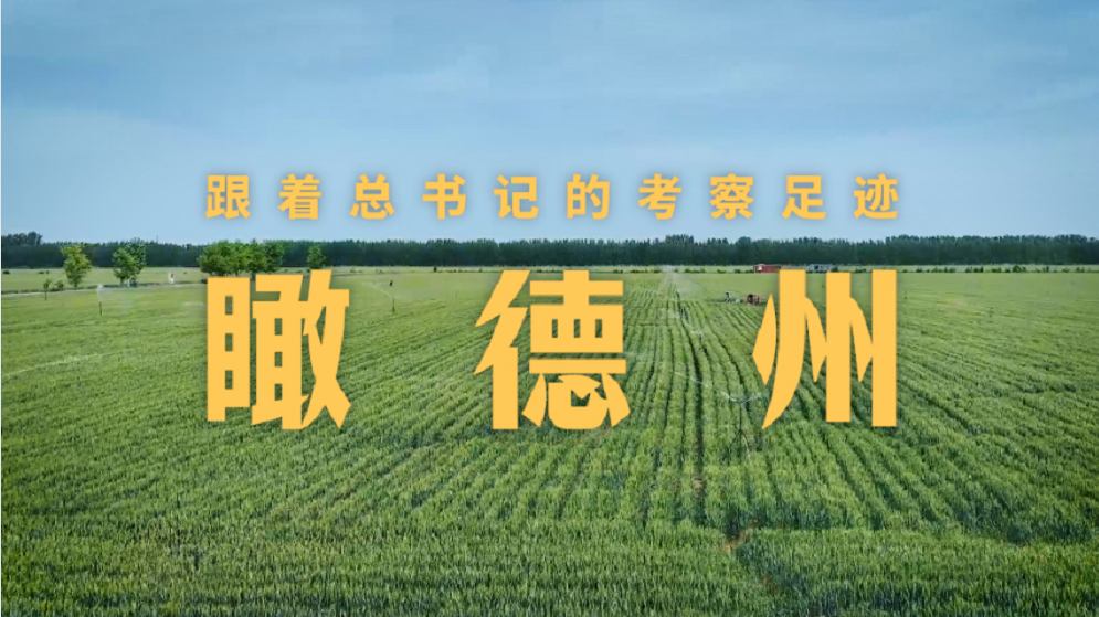 跟着总书记的考察足迹丨瞰德州