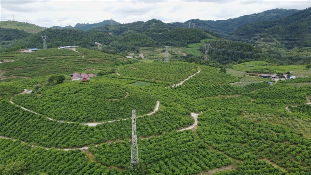 长征精神新画卷丨贵州施秉：红色文化赋能高质量发展