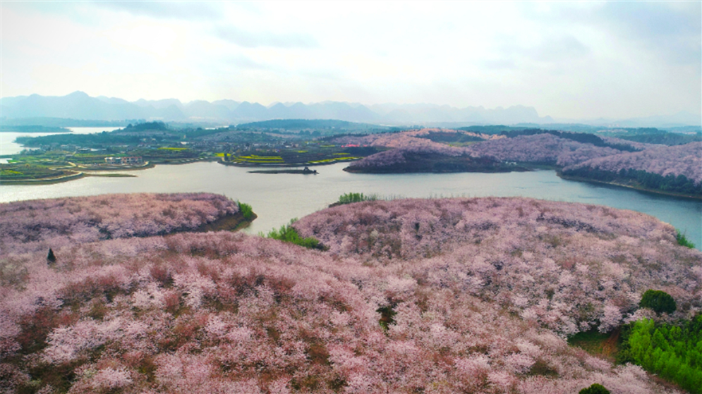 长江十年行丨长江上游“湿”意浓——走进千姿百态的贵州“水世界”
