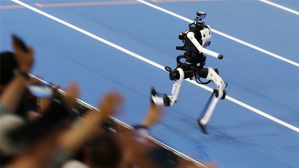 2026世界人形机器人运动会赛况