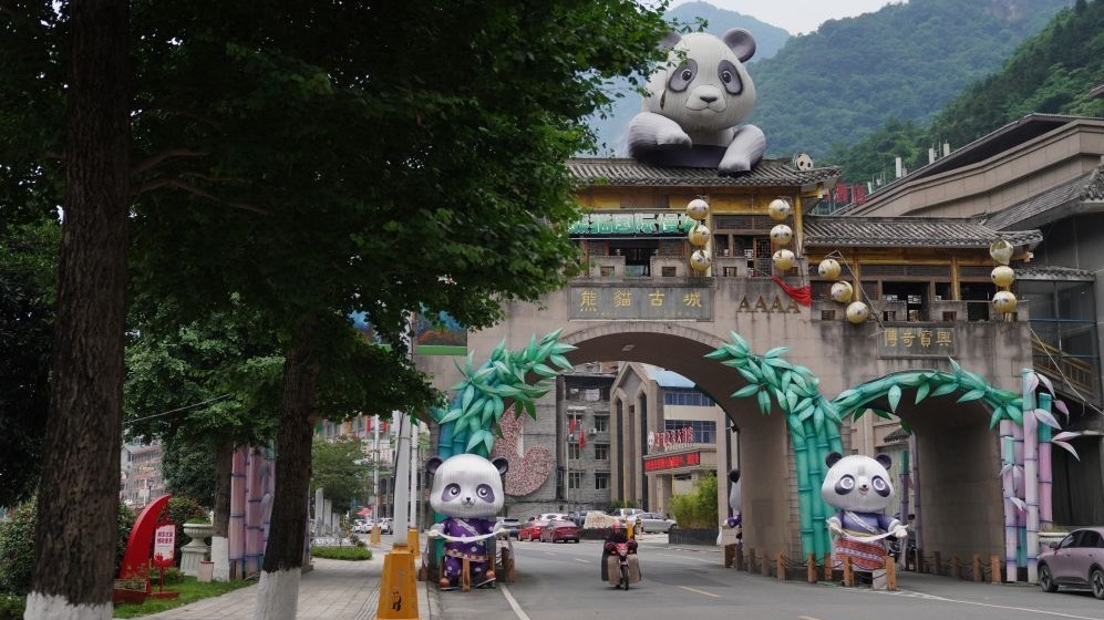 走进大熊猫科学发现地——宝兴