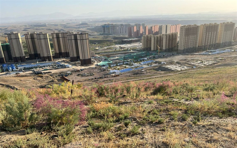 乌鲁木齐大泉湖煤田火区治理后，地表植被得以恢复。新疆应急管理厅供图