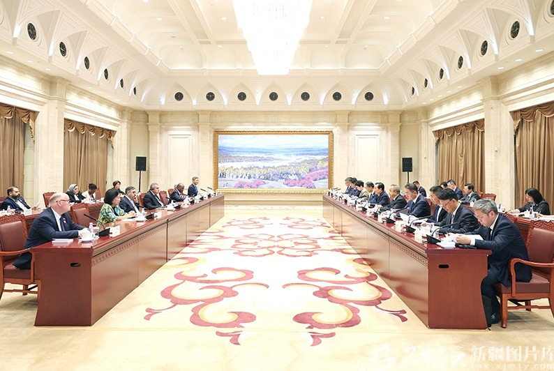 陈小江艾尔肯·吐尼亚孜会见“一带一路”国际合作高峰论坛咨询委员会委员