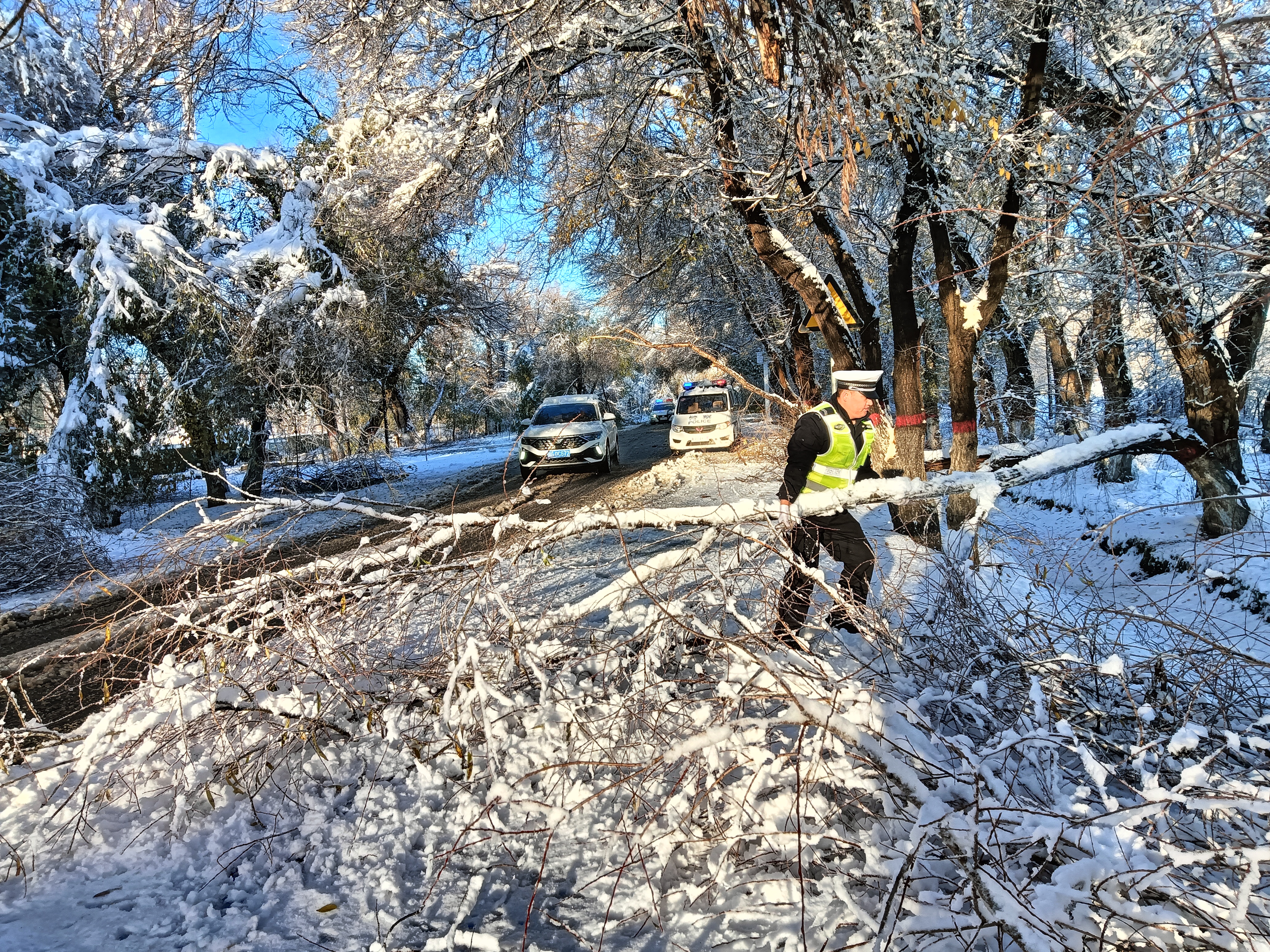 执勤民警捡拾树枝 消除道路隐患.jpg