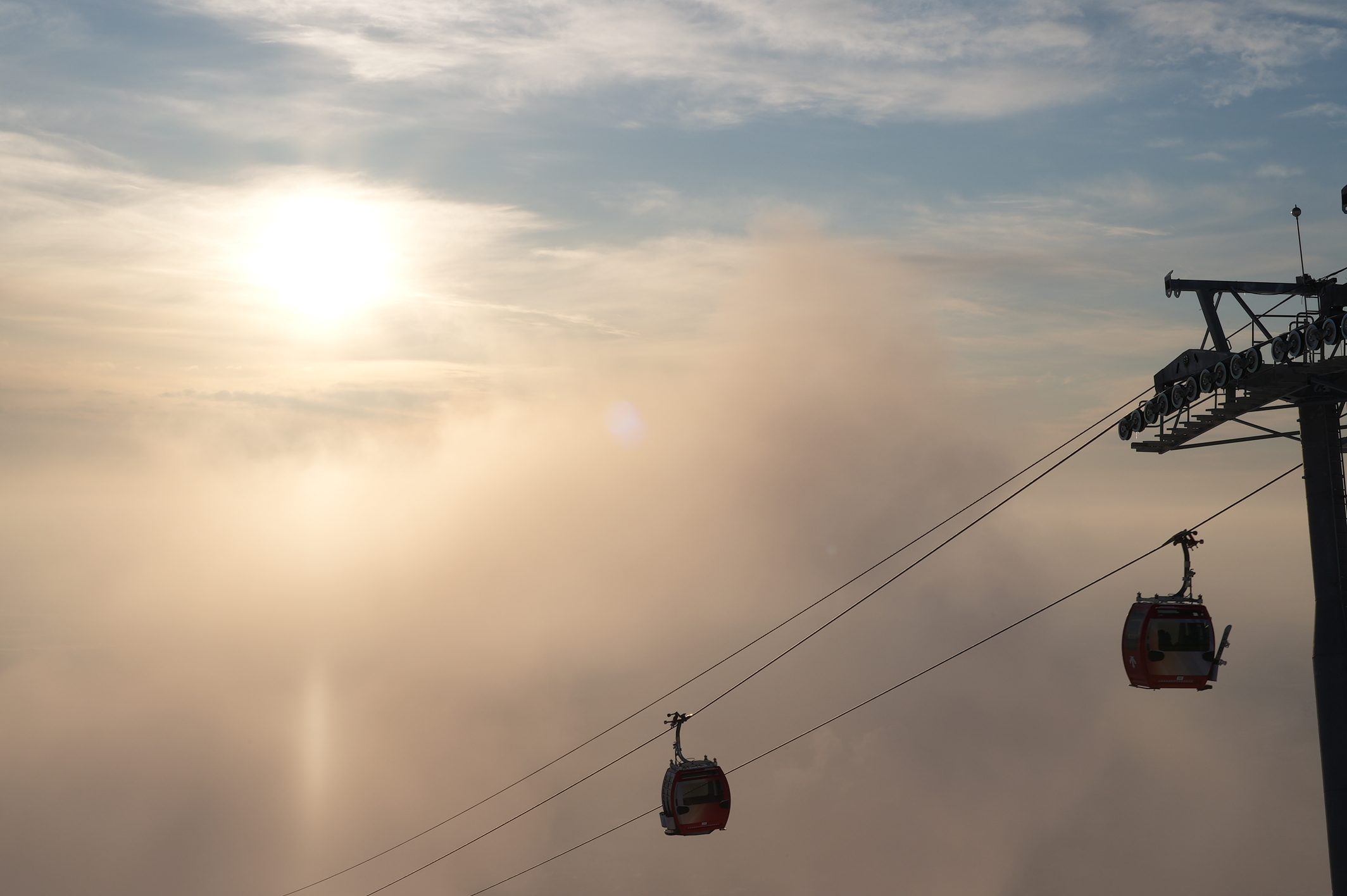 mmexport1705505946624