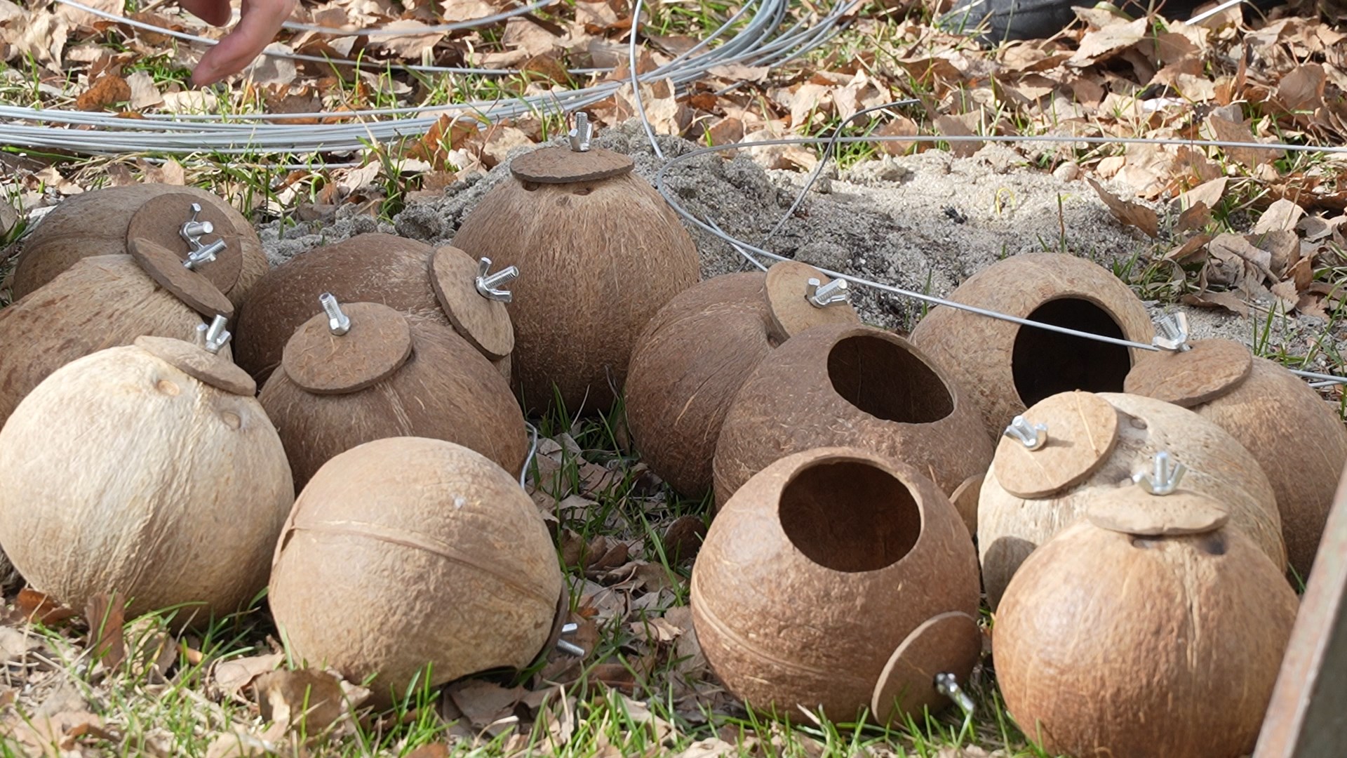 mmexport1713444331041