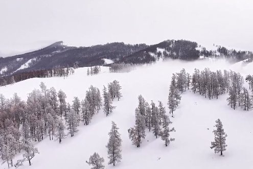 哈巴河：雾凇美景宛如水墨画