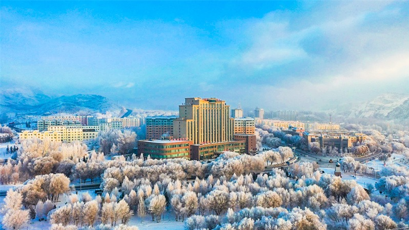 银枝缀霜 藏尽阿勒泰市冬日清欢