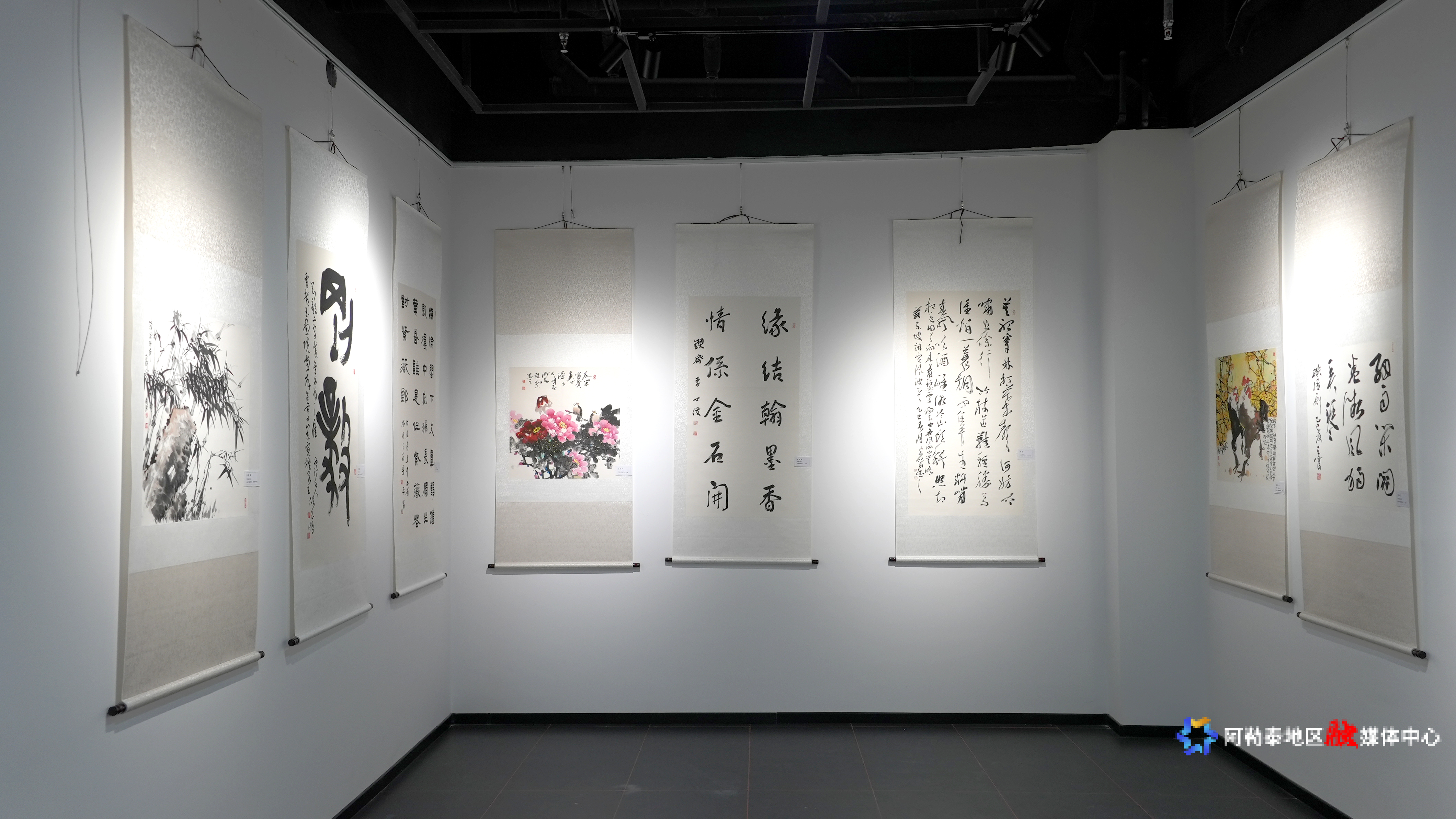 Image_1772438294294_350