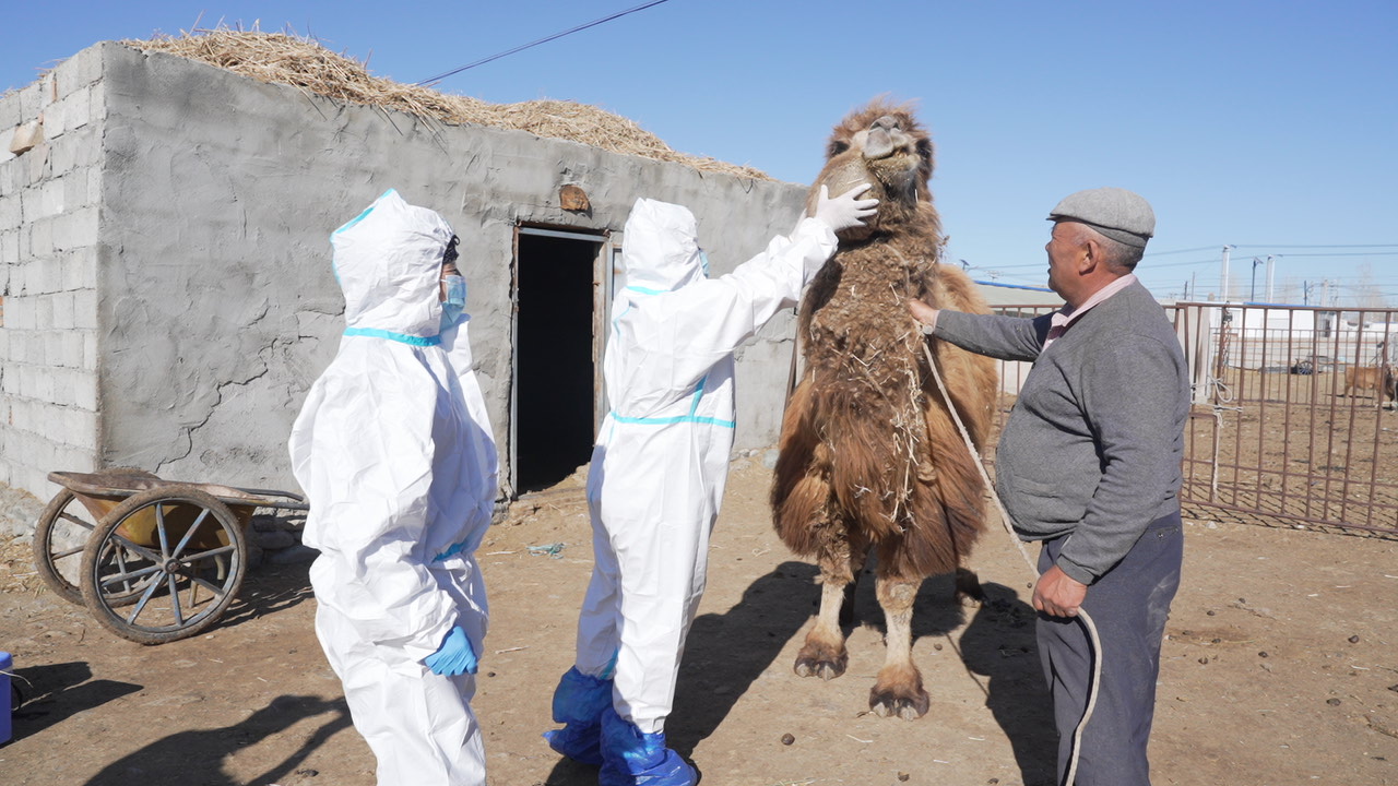 mmexport1775725869896