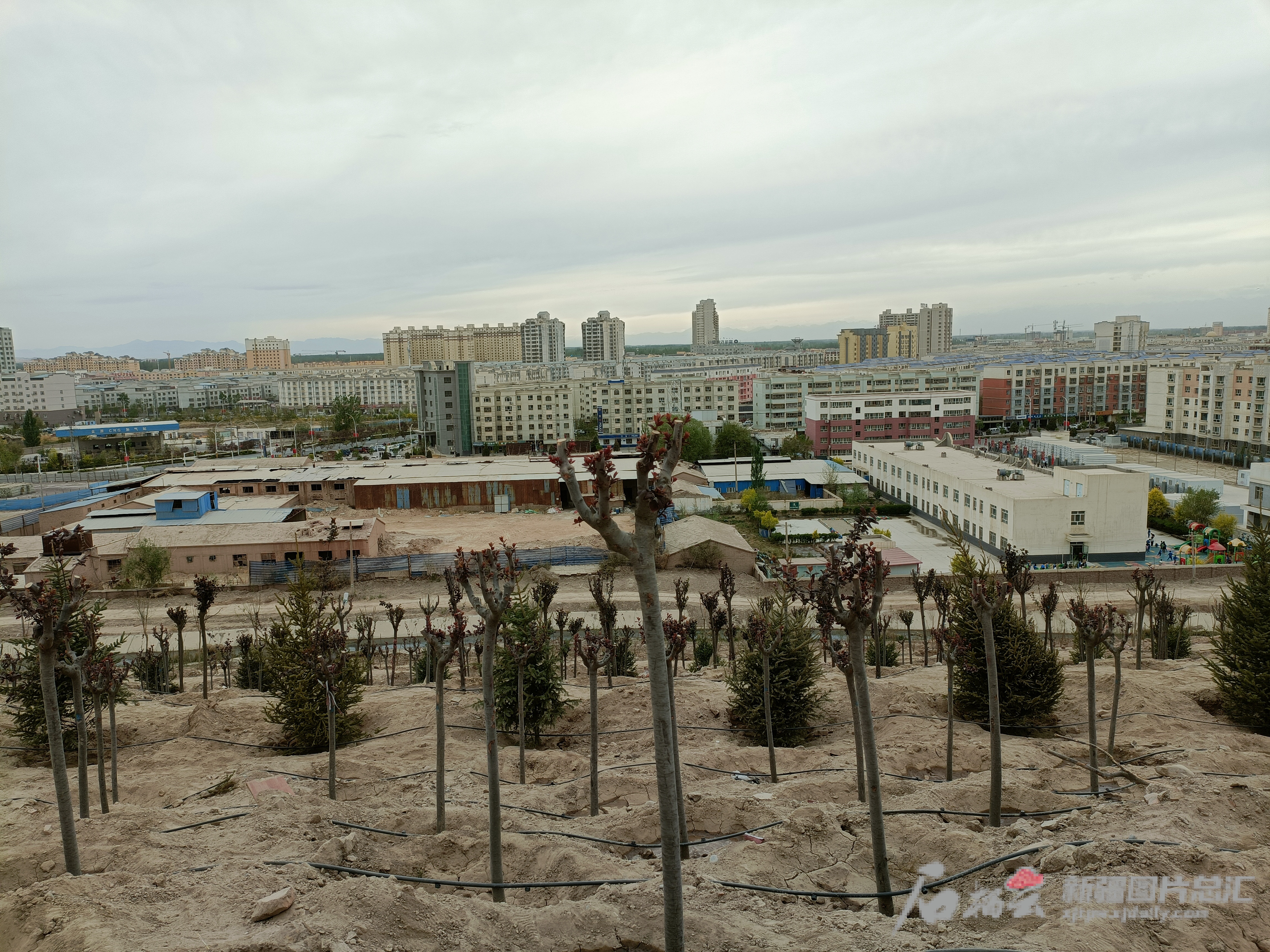 IMG20230418180929