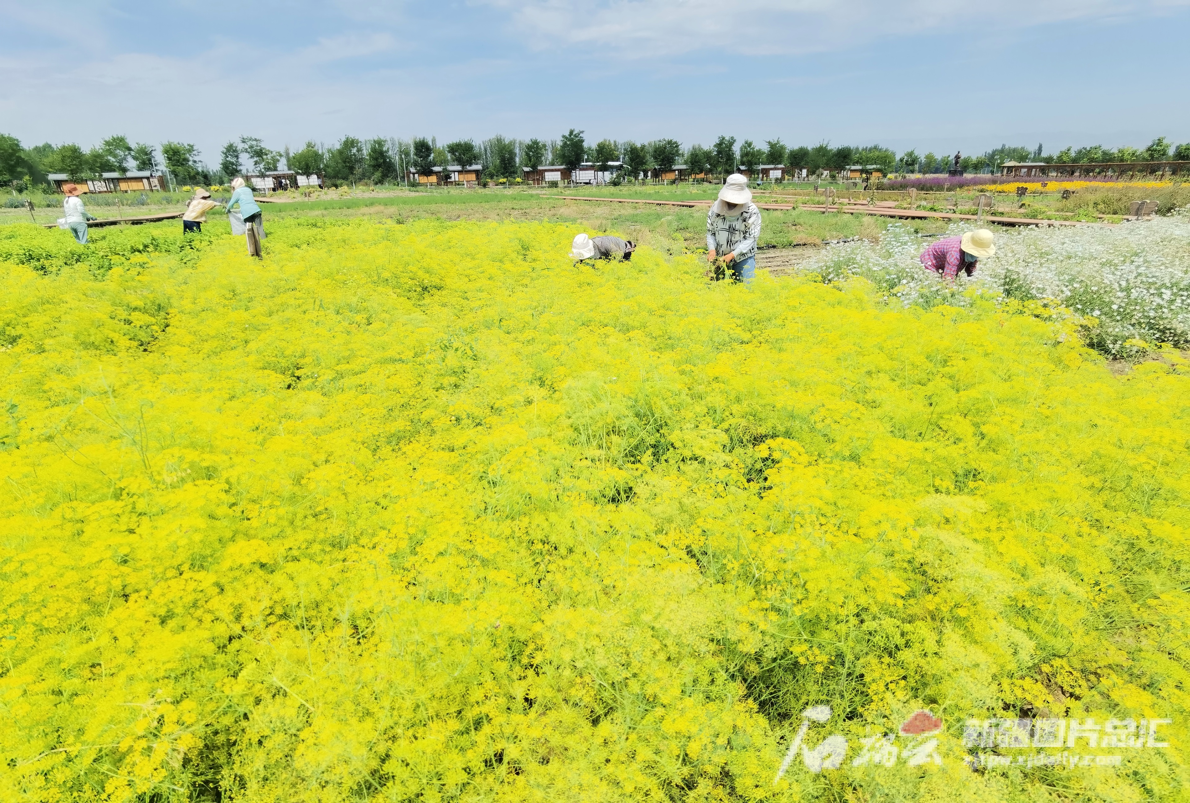 mmexport1691735073508