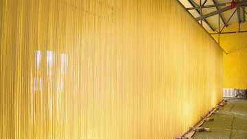 169086307945626459.gif