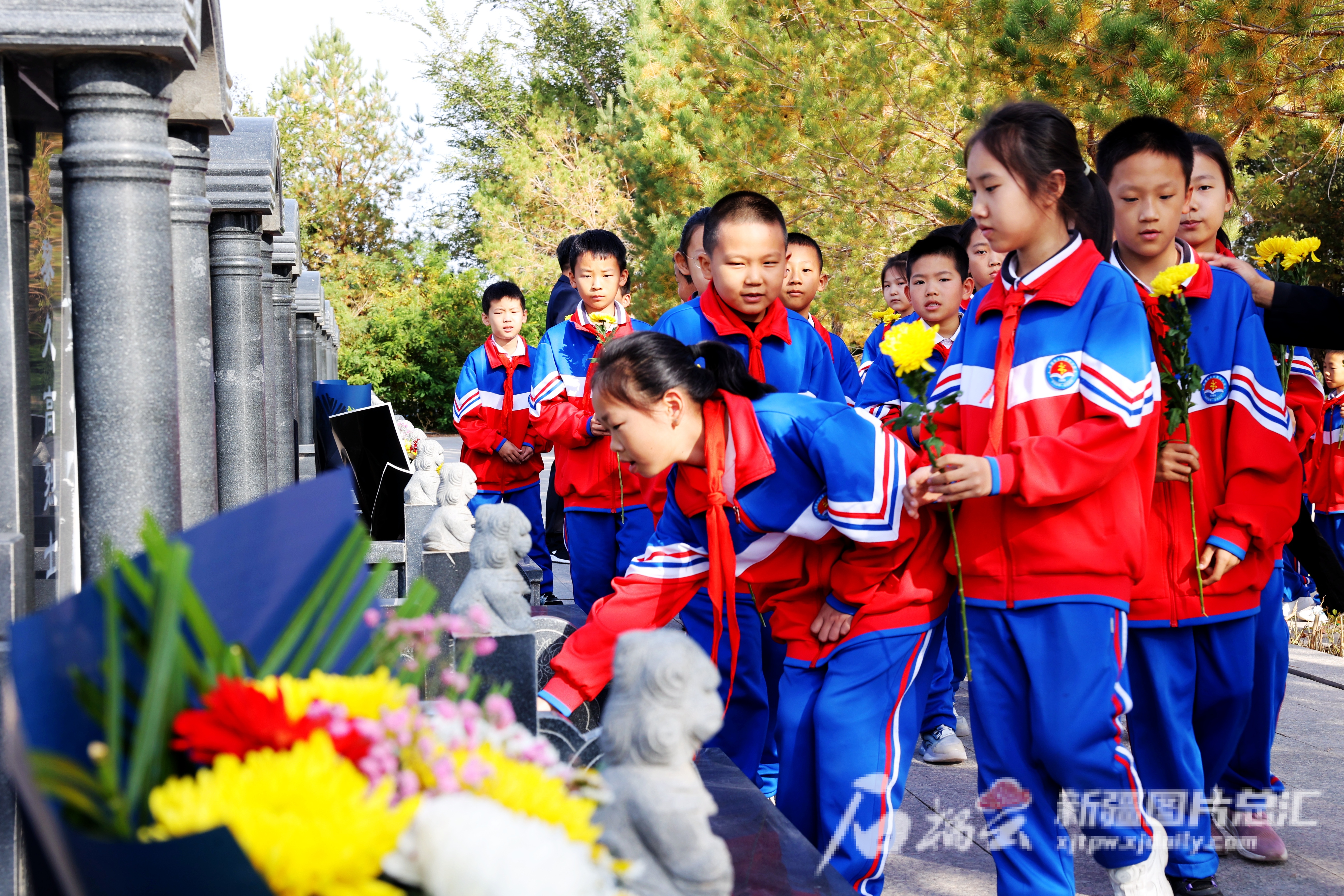 mmexport1696074613986