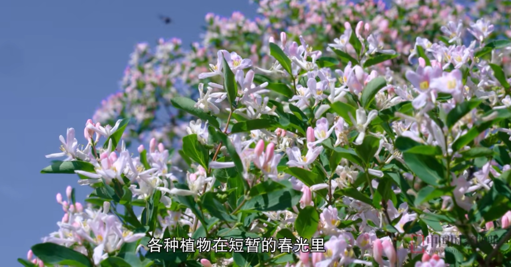 Screenshot_20231226_151426_com.sina.weibo_edit_55398322213942