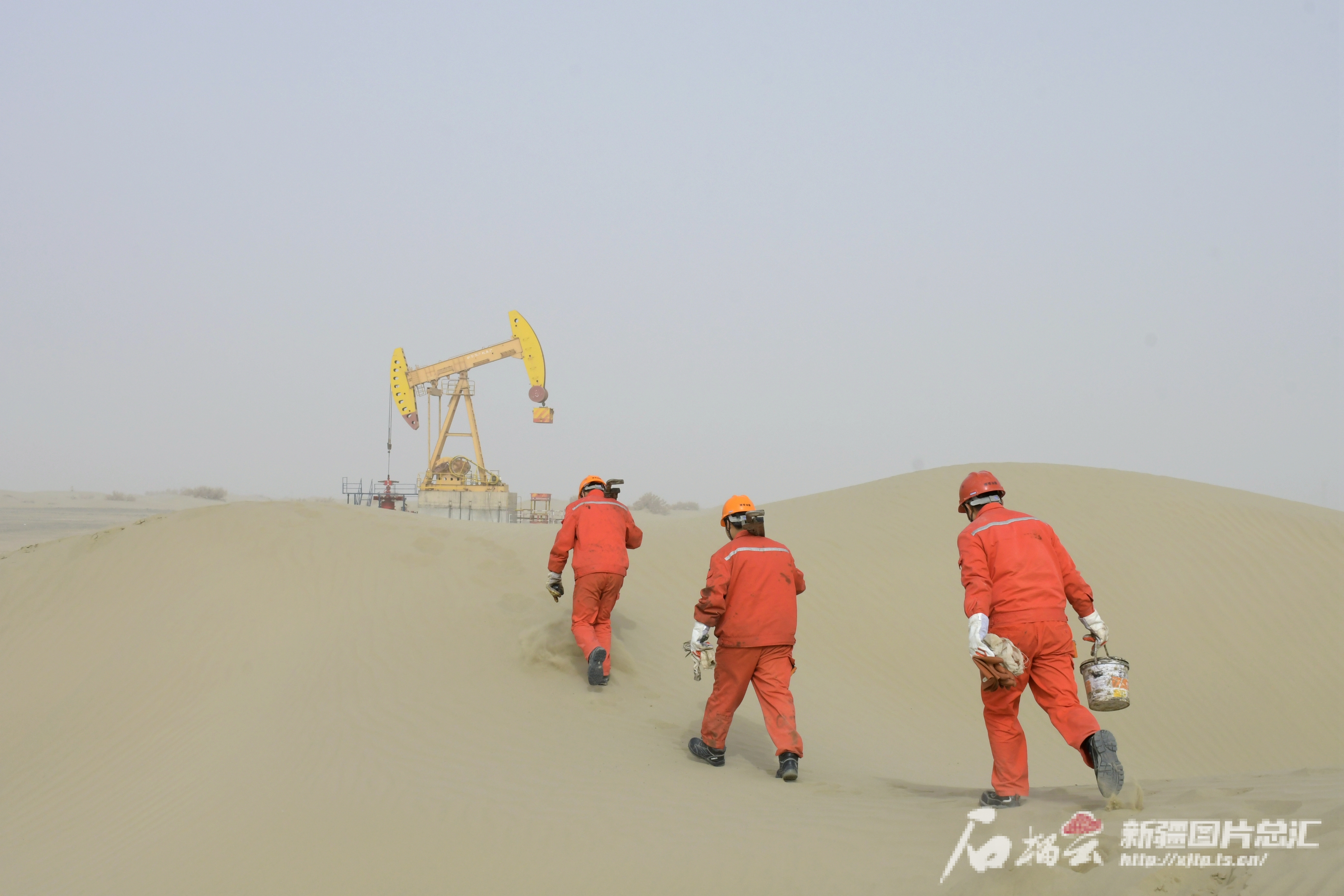 mmexport1743671132256