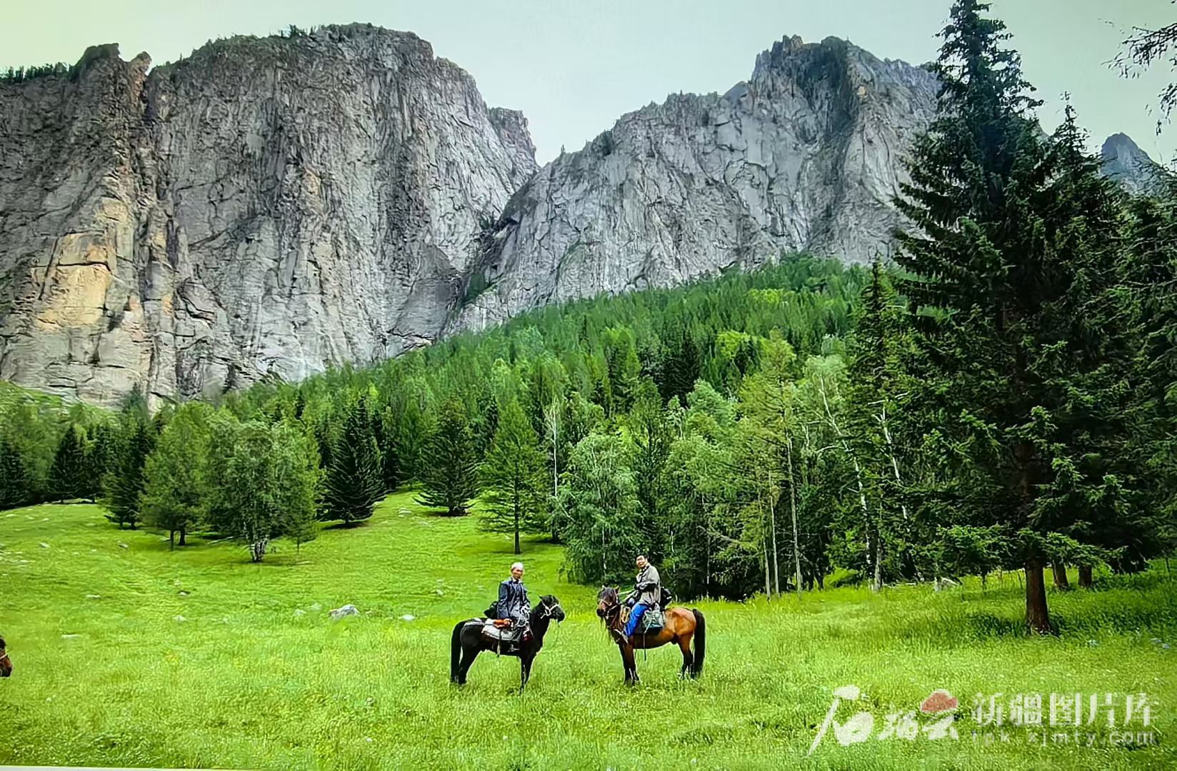 mmexport1755094795417