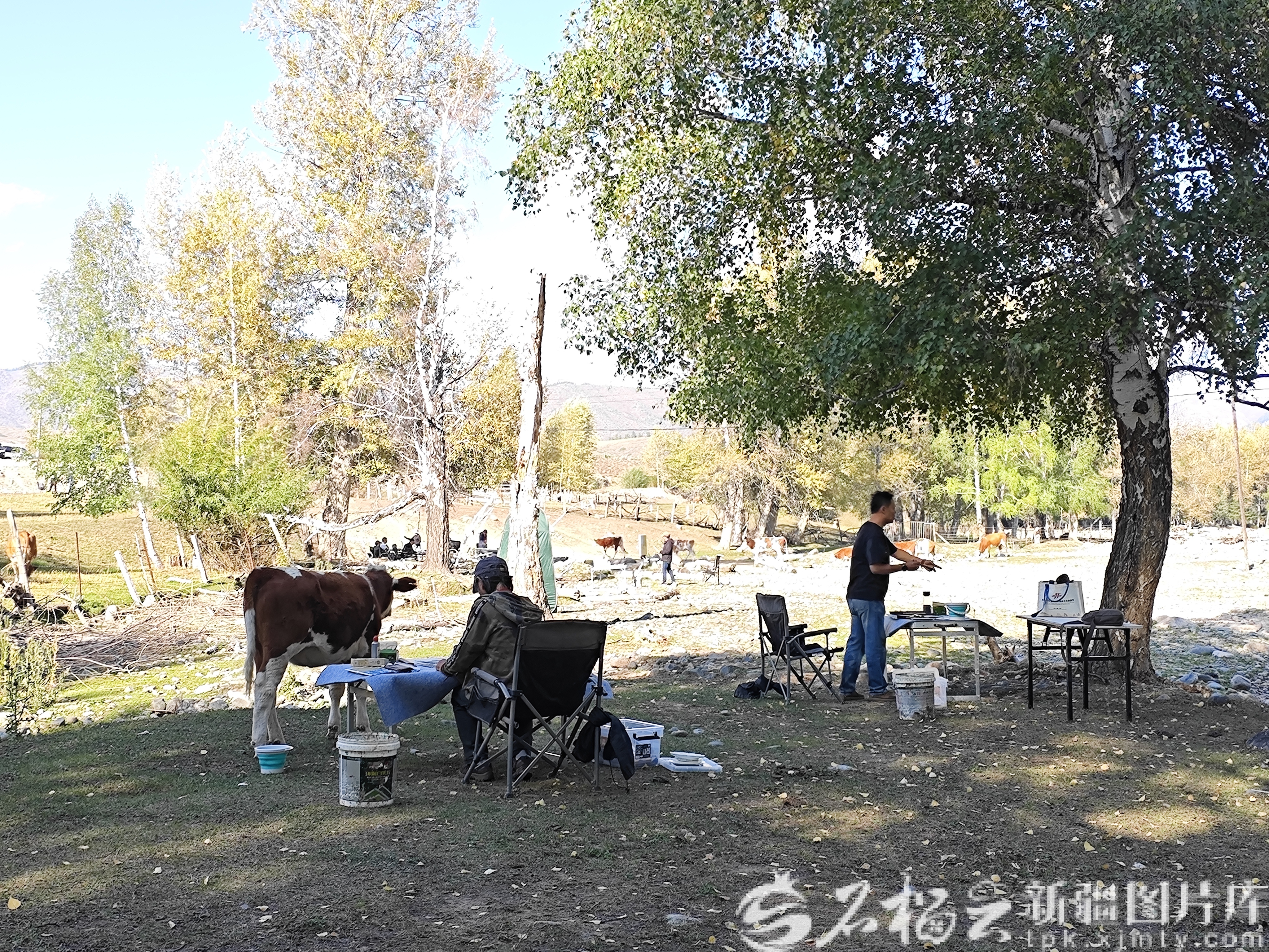 IMG_20250828_174114