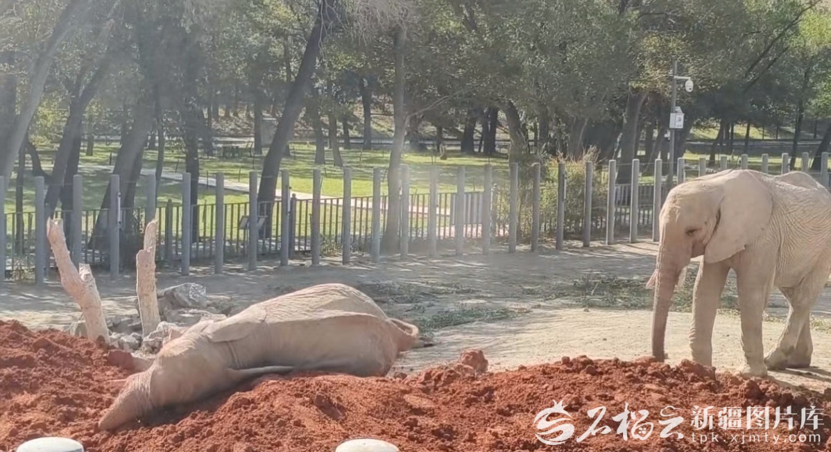 Screenshot_2025-09-28<a class=