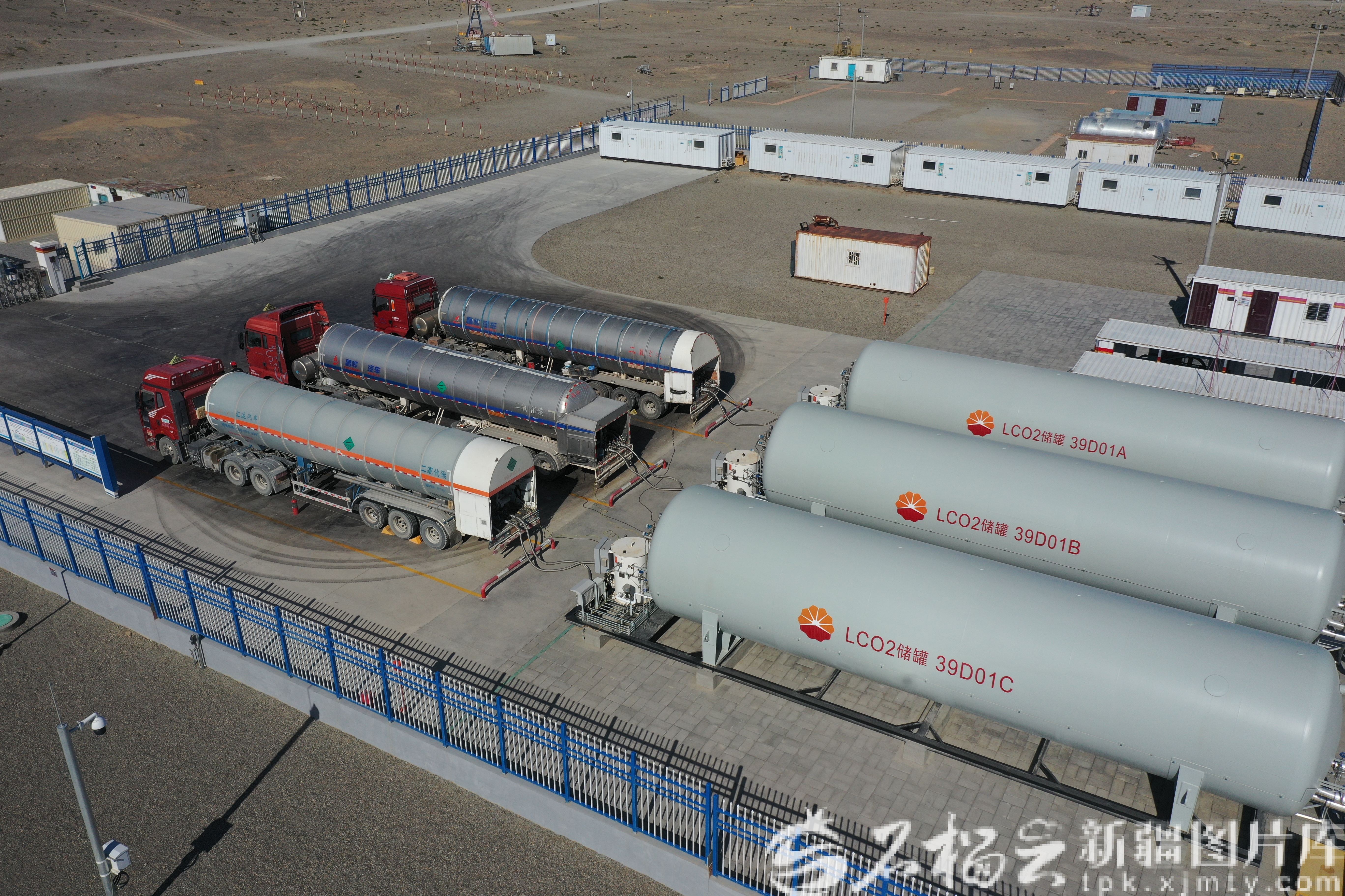 mmexport1760323588841