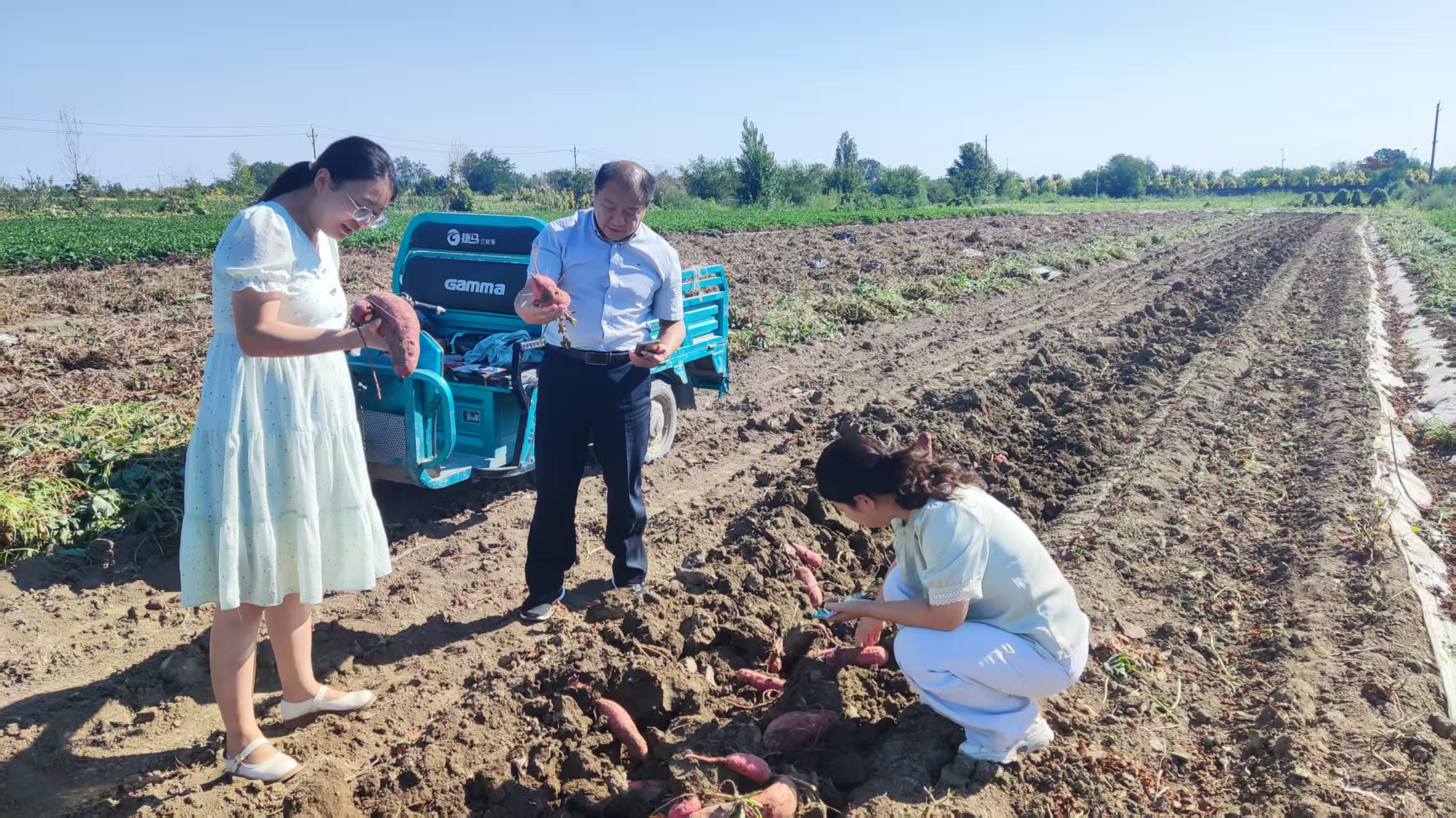 mmexport1766056413087