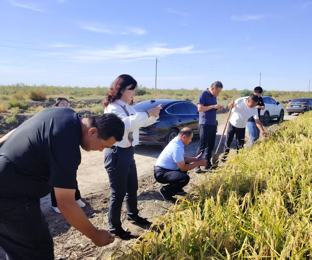 U020251218690716045964