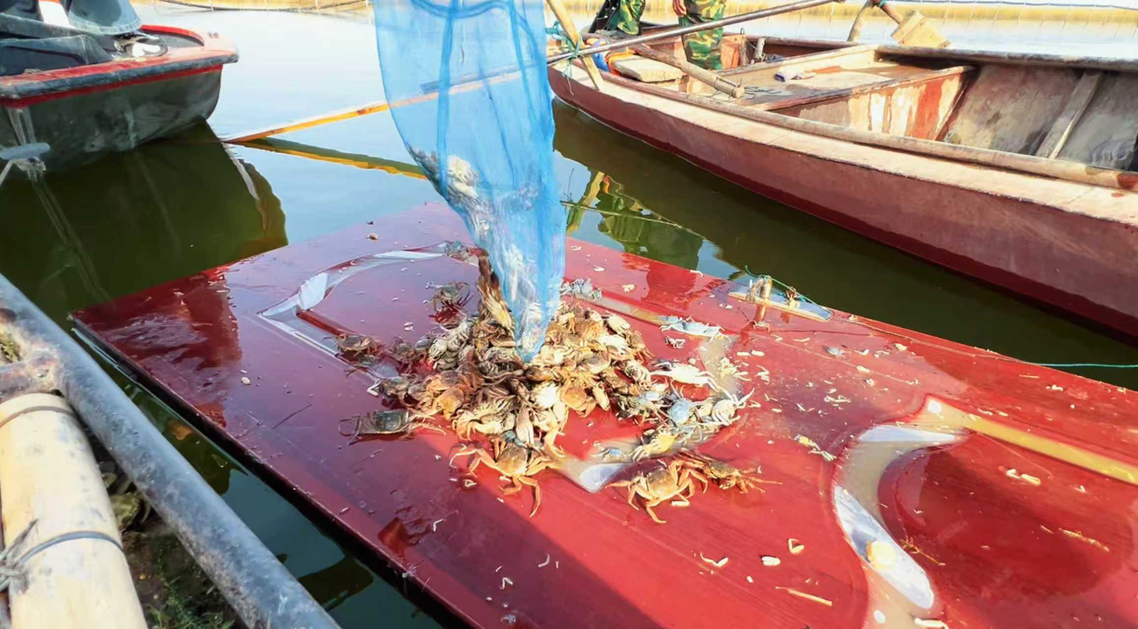 mmexport1775439969374