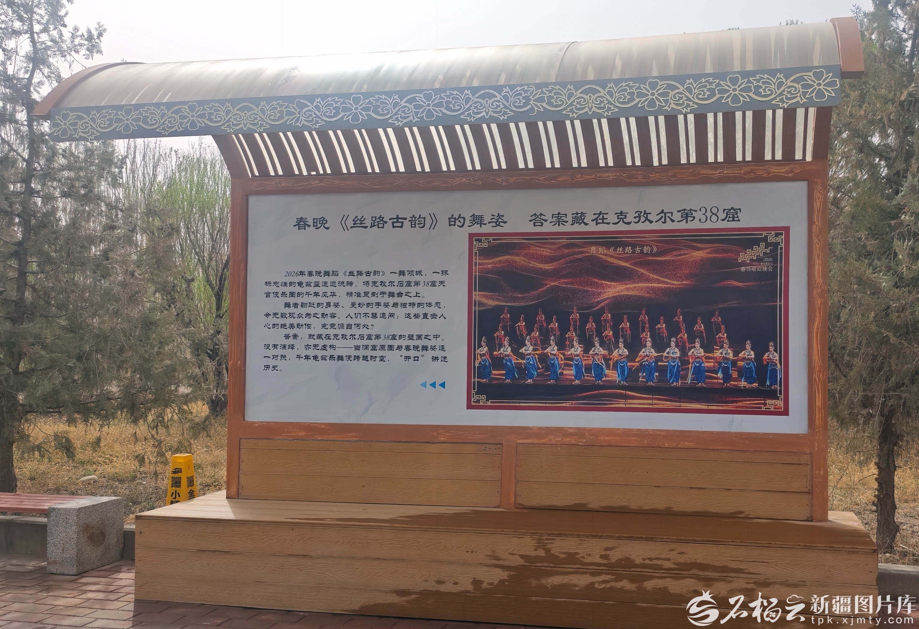 mmexport1775750223194_edit_45626554027954